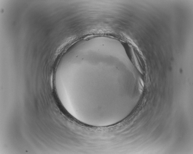 X0000059850019200511181550