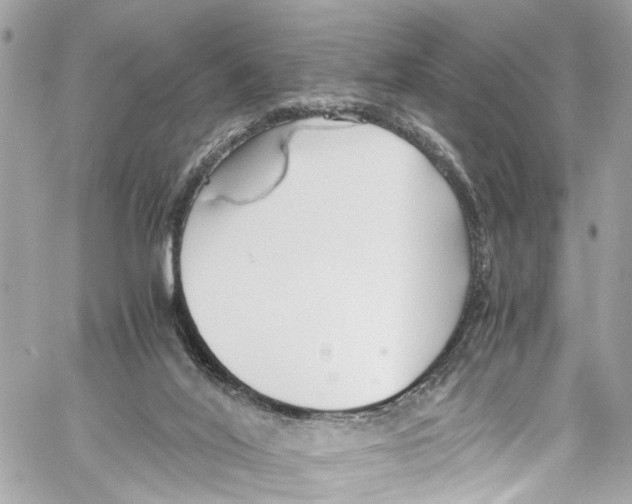 X0000059850020200511181550