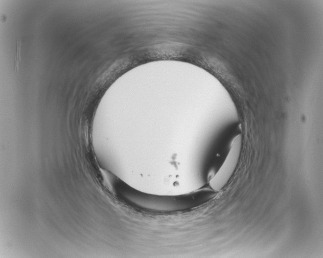 X0000059850021200511181550