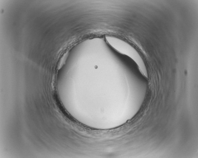 X0000059850023200511181550