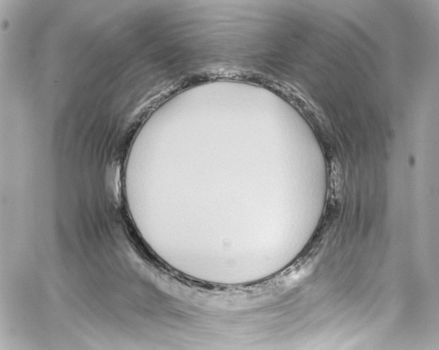 X0000059850024200511181550