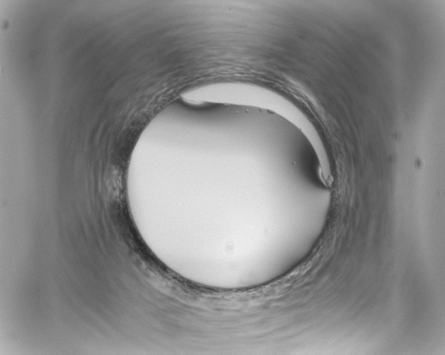 X0000059850025200511181550