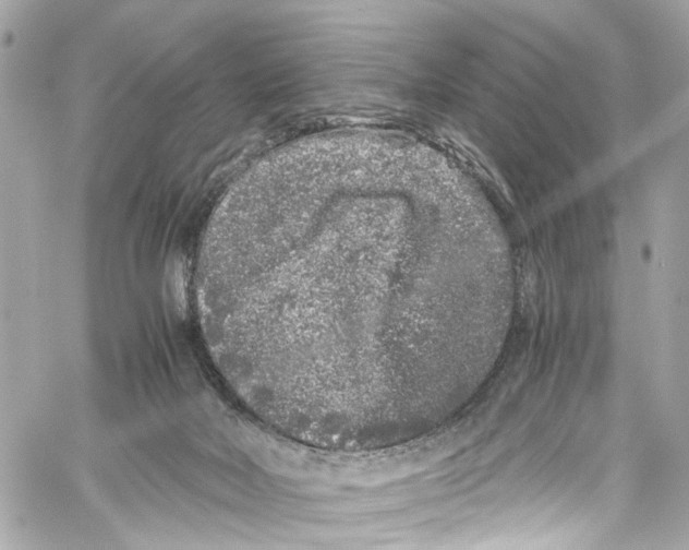 X0000059850026200511181550