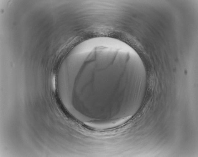 X0000059850027200511181550