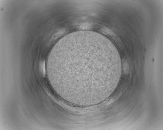 X0000059850028200511181549