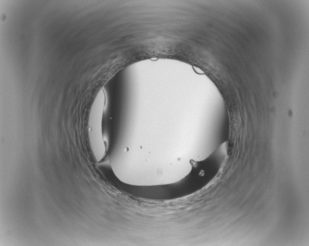 X0000059850029200511181549