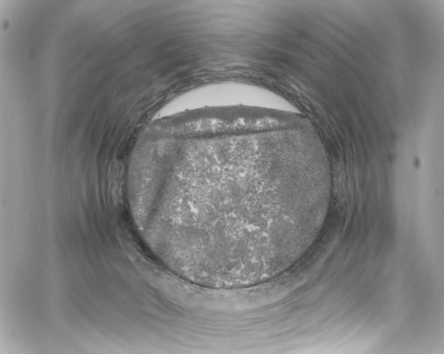 X0000059850030200511181549