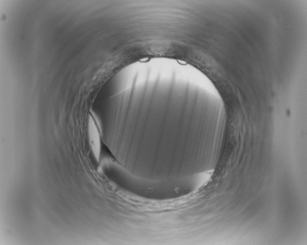 X0000059850031200511181549