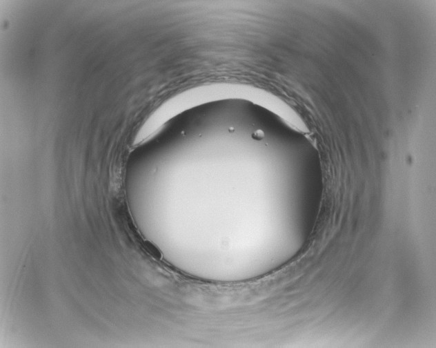 X0000059850033200511181549