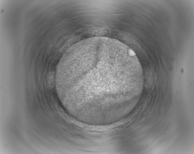 X0000059850034200511181549