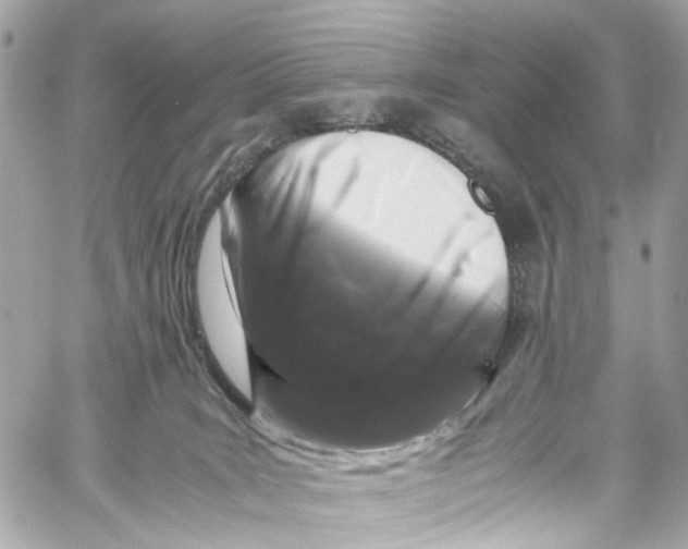 X0000059850035200511181549