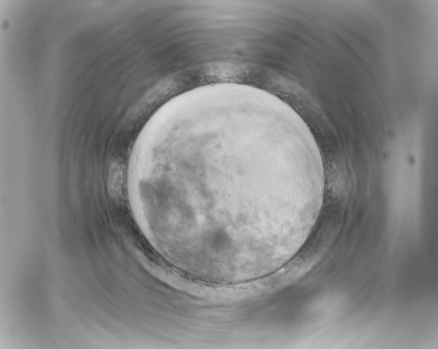 X0000059850036200511181549