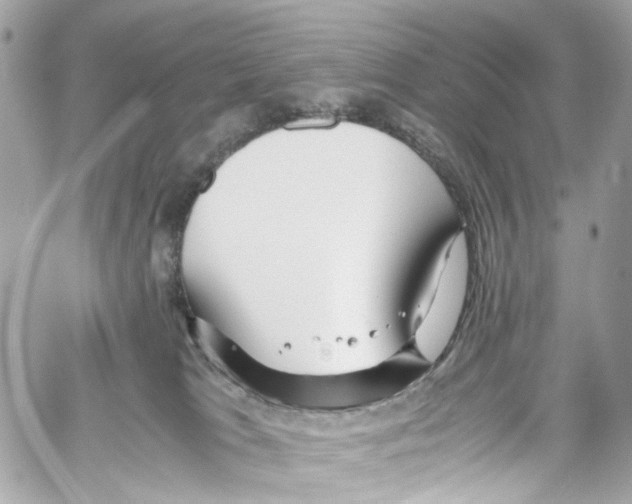 X0000059850037200511181549