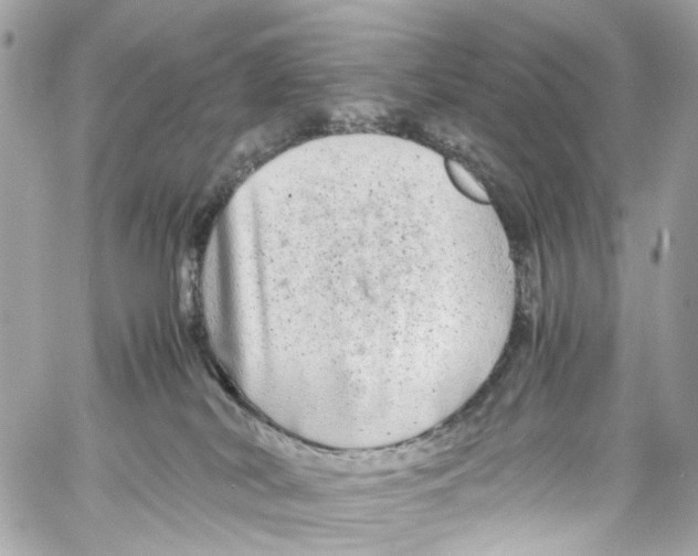 X0000059850038200511181549