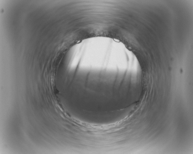 X0000059850039200511181549