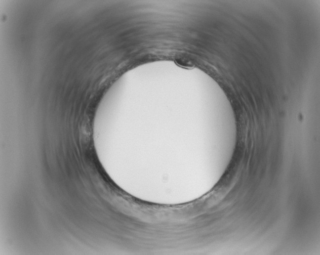 X0000059850040200511181549