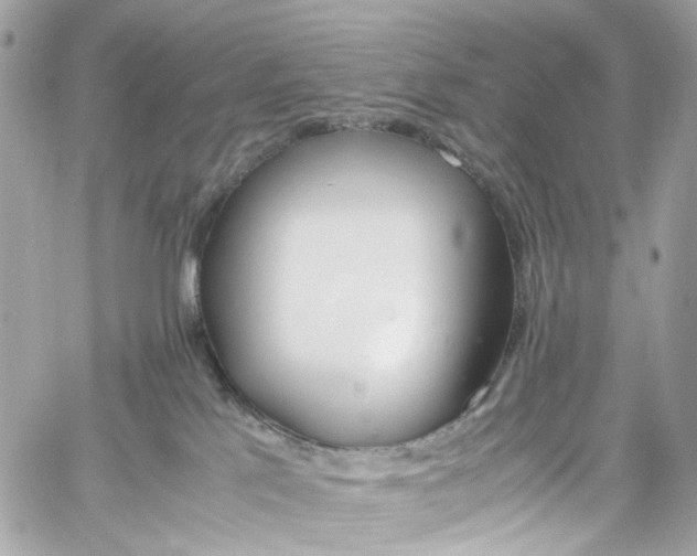 X0000059850041200511181549