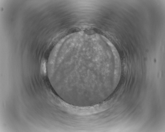 X0000059850042200511181549