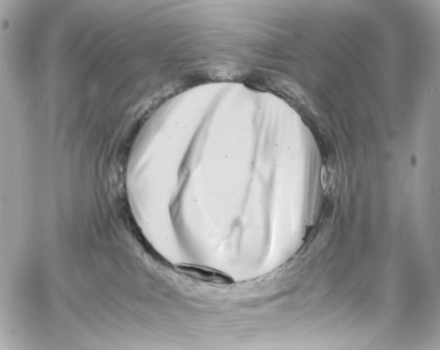 X0000059850043200511181549