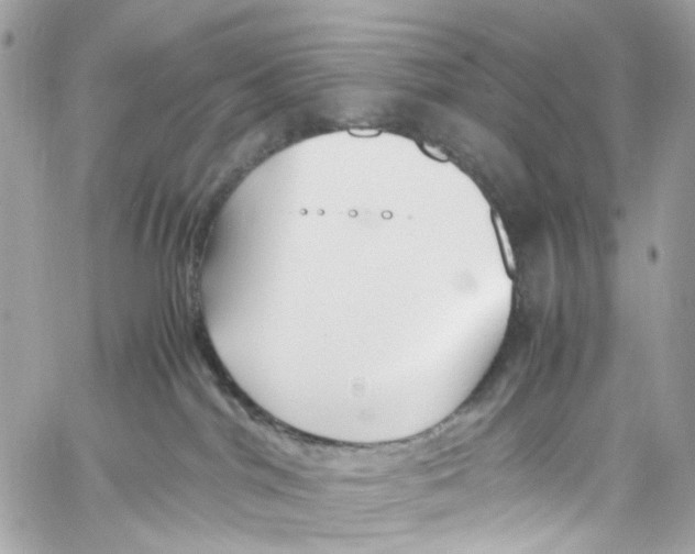 X0000059850044200511181549