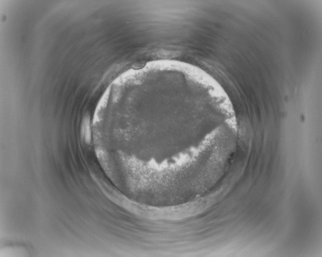 X0000059850046200511181549