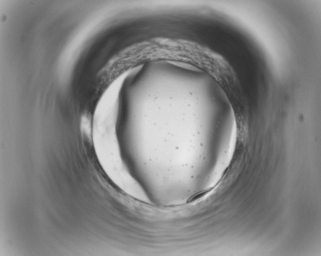 X0000059850047200511181549