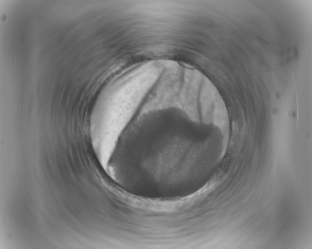 X0000059850048200511181549