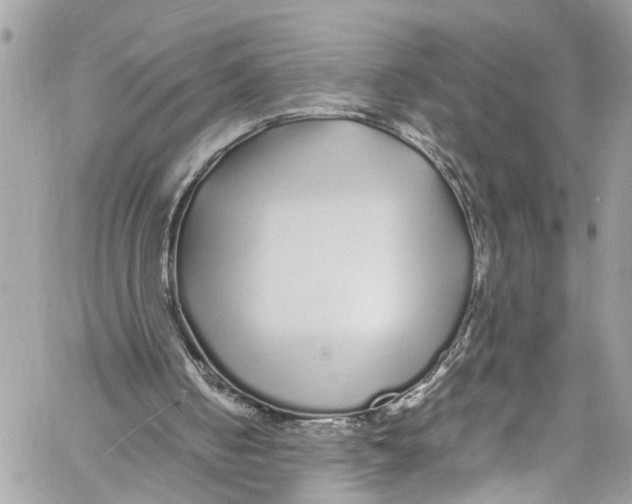 X0000059850050200511181548