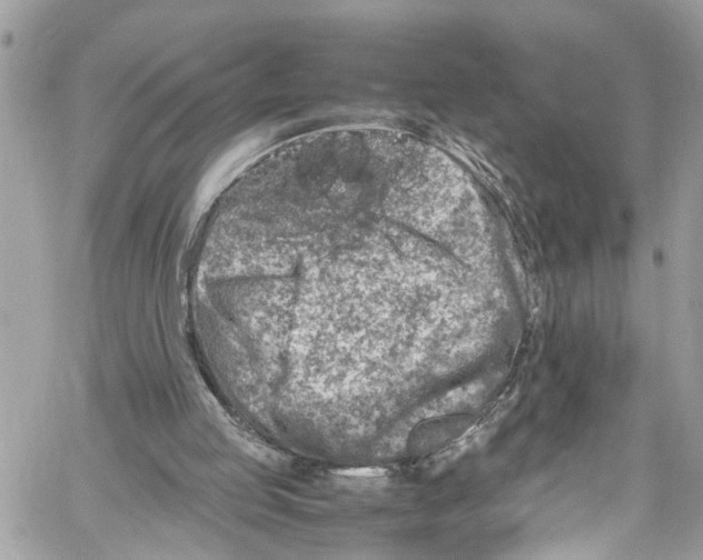 X0000059850053200511181548