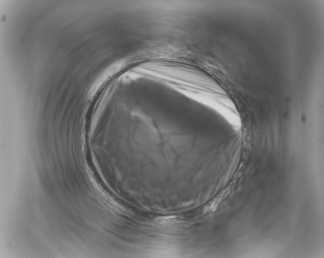 X0000059850054200511181548