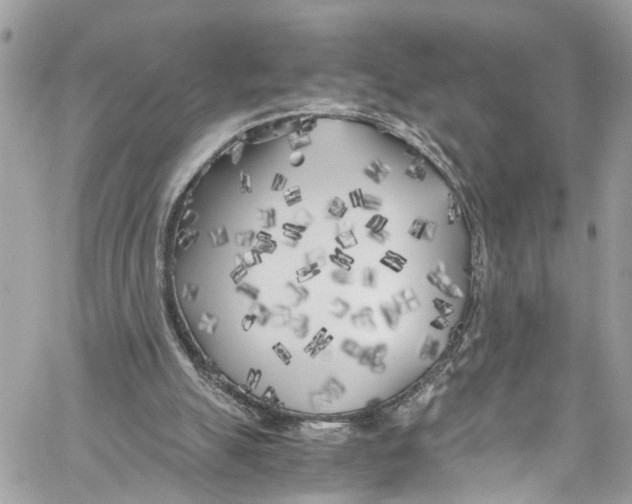 X0000059850055200511181548