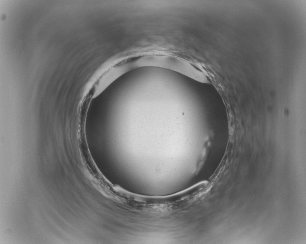 X0000059850056200511181549