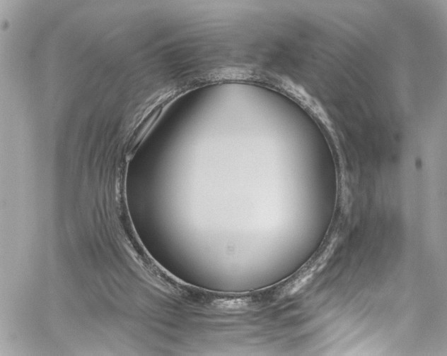 X0000059850057200511181549