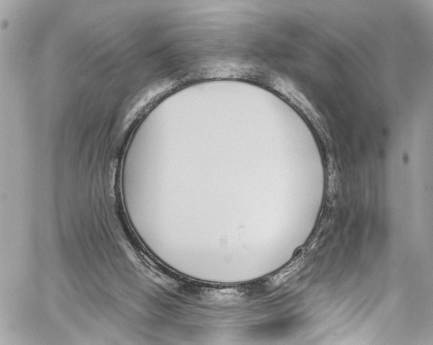 X0000059850058200511181549