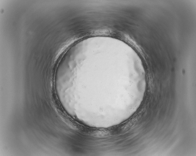 X0000059850059200511181549