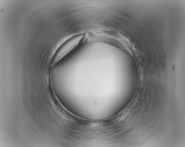 X0000059850060200511181549