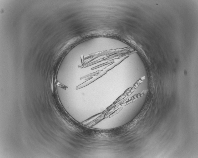 X0000059850062200511181549