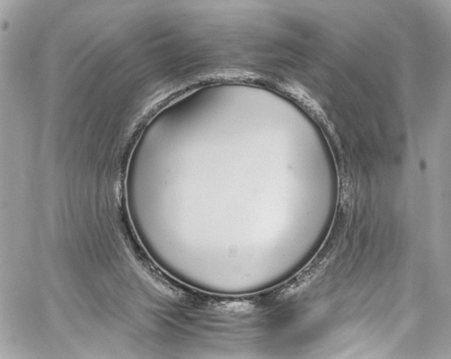 X0000059850063200511181549