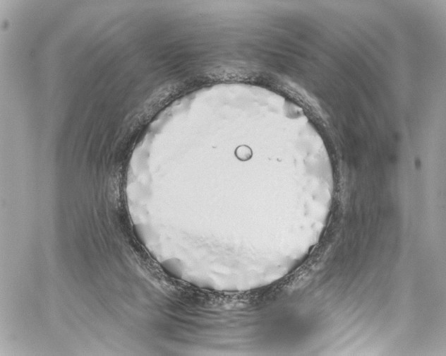 X0000059850065200511181549