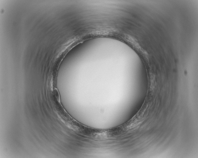 X0000059850068200511181549