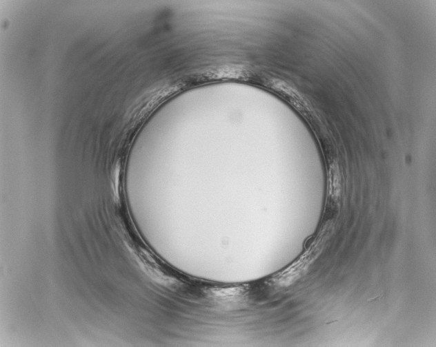 X0000059850070200511181549