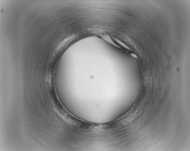 X0000059850072200511181549