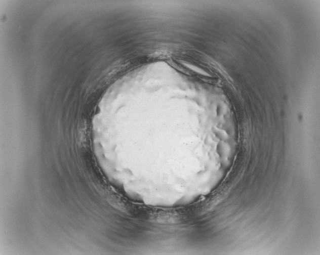 X0000059850073200511181549