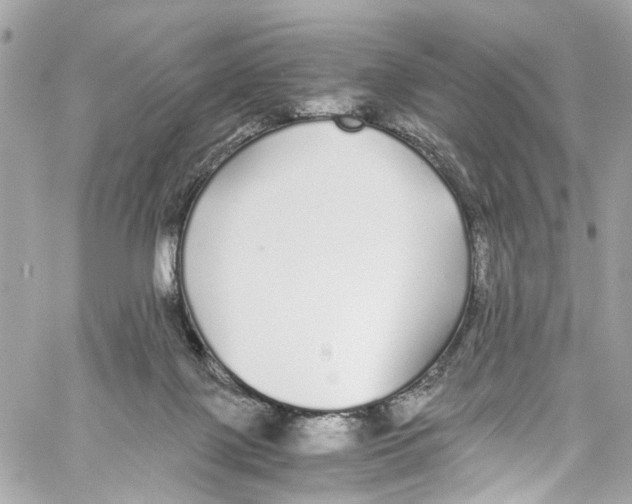 X0000059850075200511181549