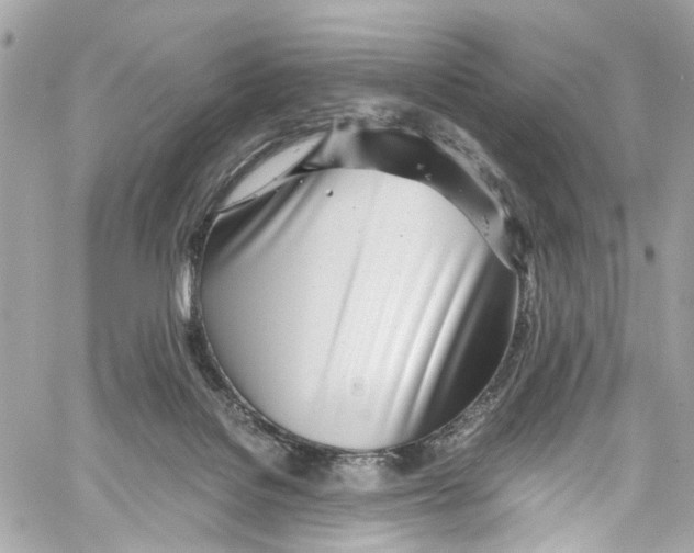 X0000059850076200511181549