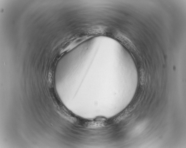 X0000059850077200511181549