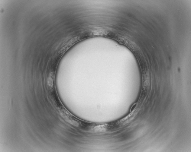 X0000059850078200511181549