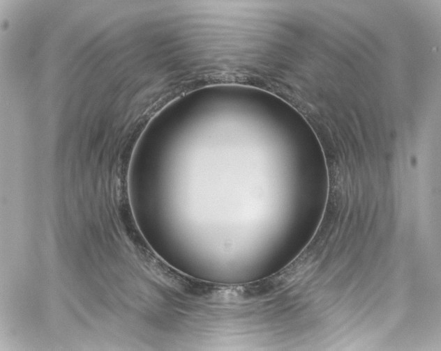 X0000059850080200511181549