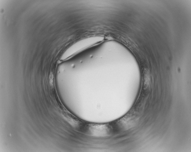 X0000059850081200511181549