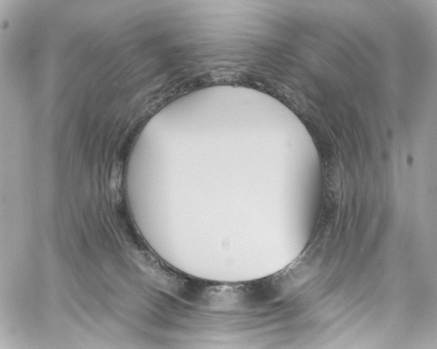 X0000059850082200511181549